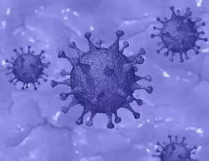 Read more about the article Pulpdent’s Response to COVID-19