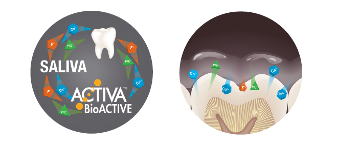 Read more about the article Top 5 Reasons Why ACTIVA™ BioACTIVE is Good for You