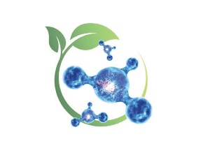 Read more about the article The Magic is Coming …