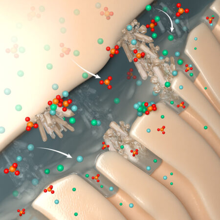 Bioactivity-illlustration_layered-for-client